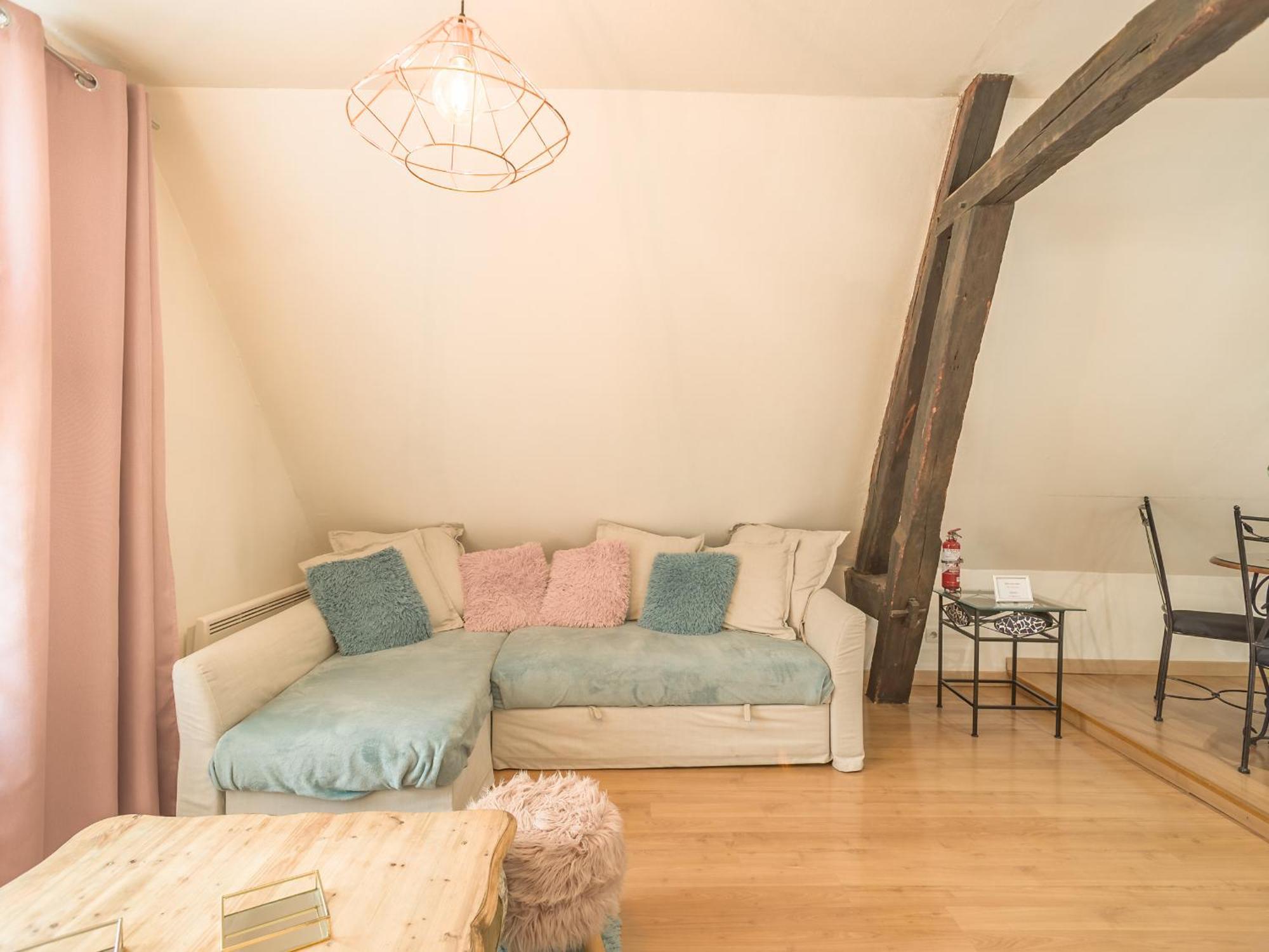 Quartier Cathedrale Centre, Wifi Et Parking - Zen Appart Troyes Kamer foto